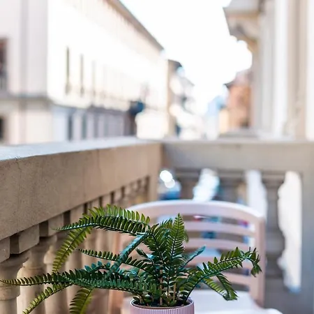Alojamento de Acomodação e Pequeno-almoço Terra Artis